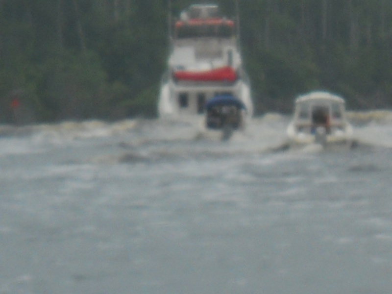 I was in awe when Osprey crossed the wake of Pixie Dust here