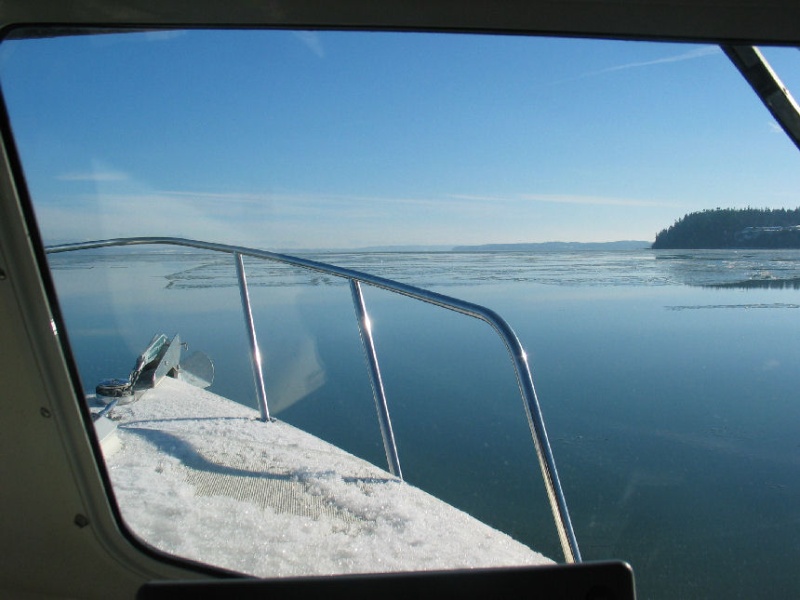Ice dead ahead