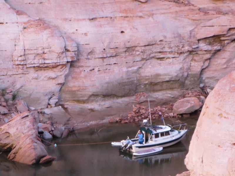 Iceberg Canyon Monday morning 9-23-13 Secret of Life was tied to a tree and a rock across from everyone else