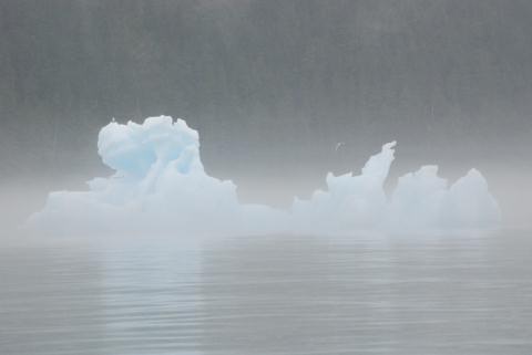 Icebergs in Tracy Arm, Tracy Arm-Fords Terror Wilderness