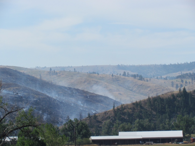 if you look closely at theleft hand side of the picture you can see the helicopter dumping water on the fire