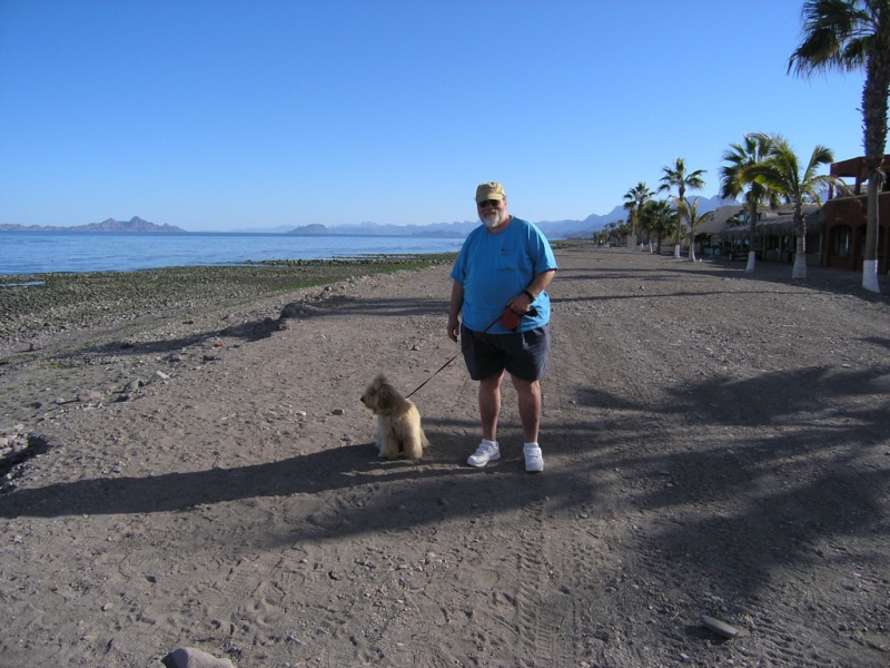 Ike the Wonderdoodle loves Baja!