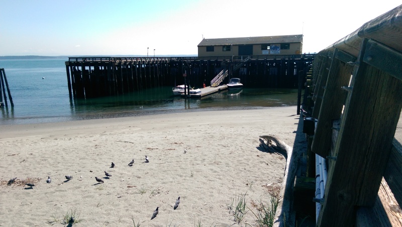 IMAG0168
