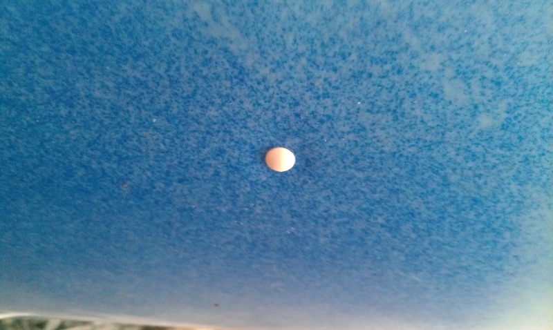 IMAG0549