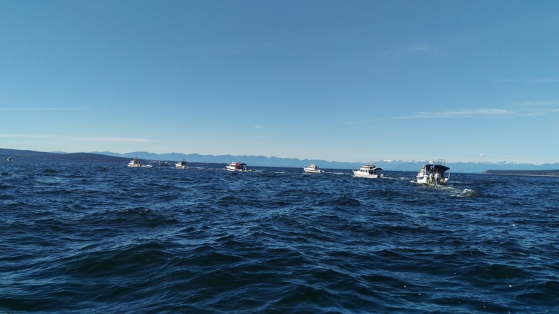 IMAG0601