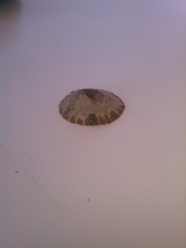 IMAG0647