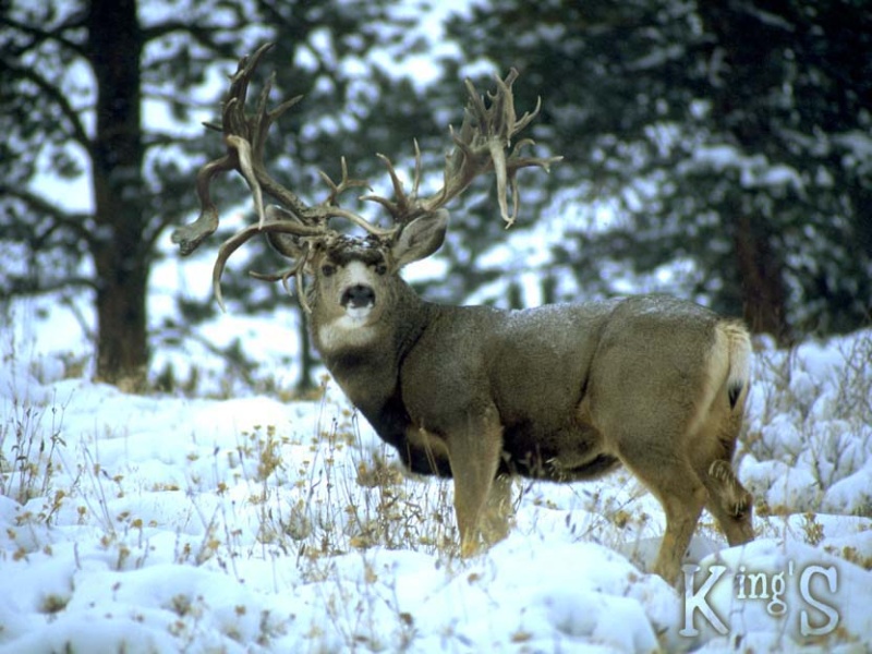 image0022