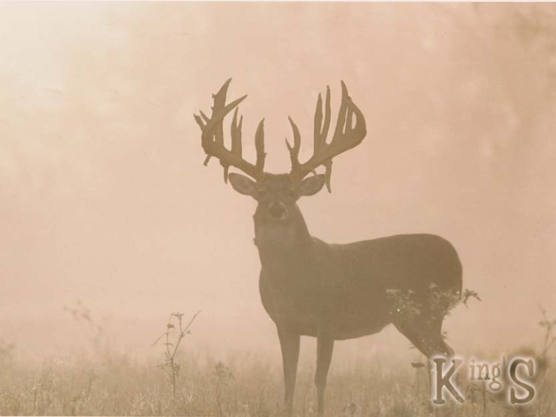 image01010