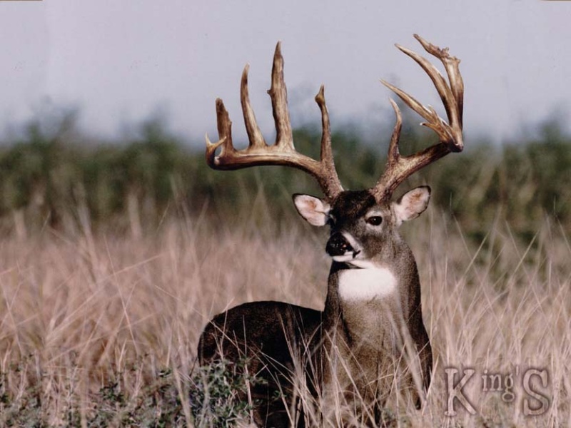 image01111