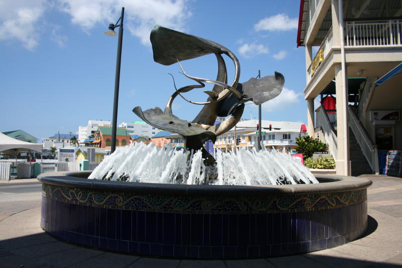 IMG 0026