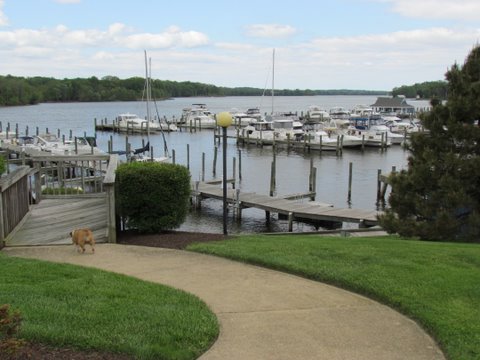 IMG 0183