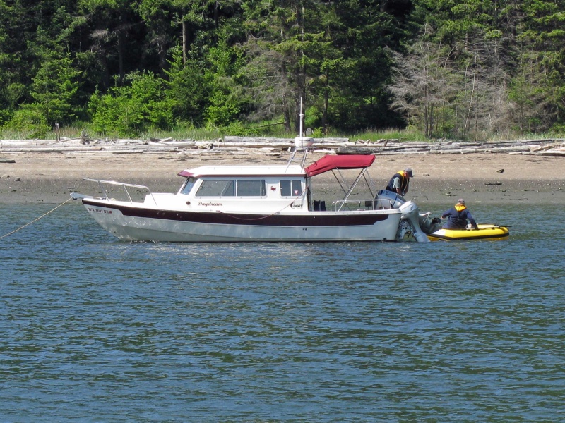 IMG 0203a