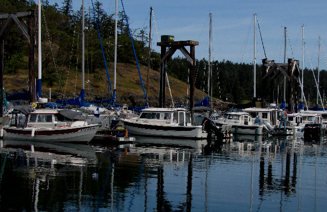 IMG 0355