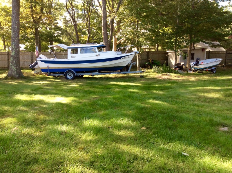 IMG 0529