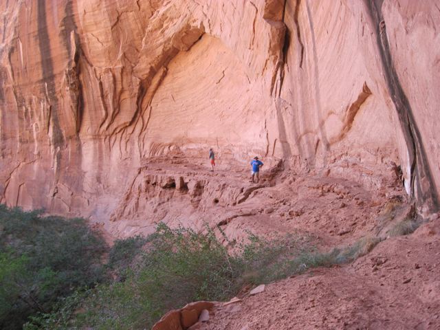 IMG 0531