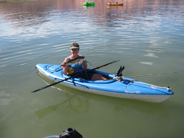 IMG 0612