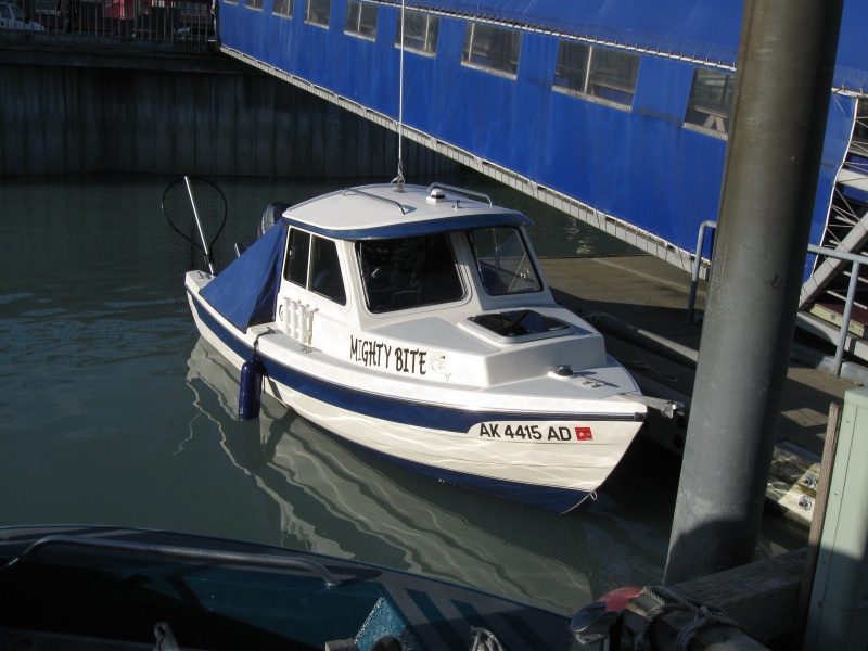 IMG 0661