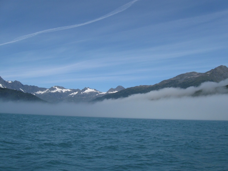 IMG 0666