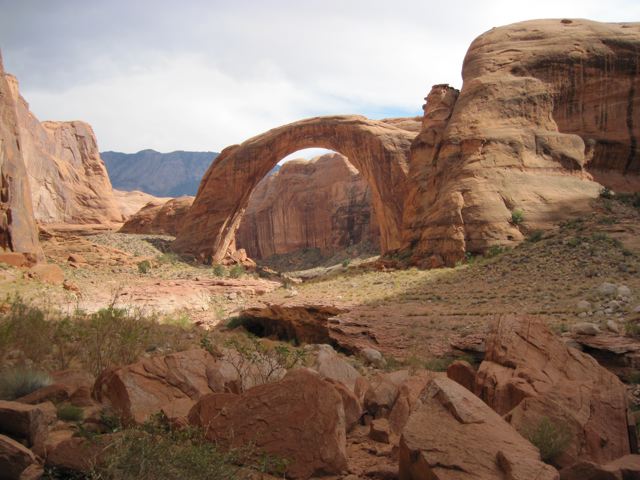 IMG 0692
