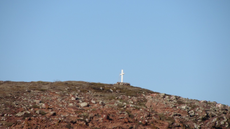 IMG 0708