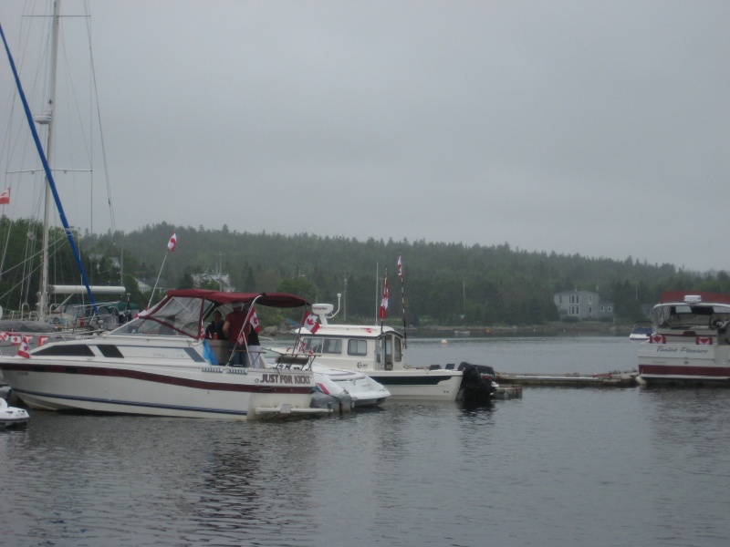 IMG 0946