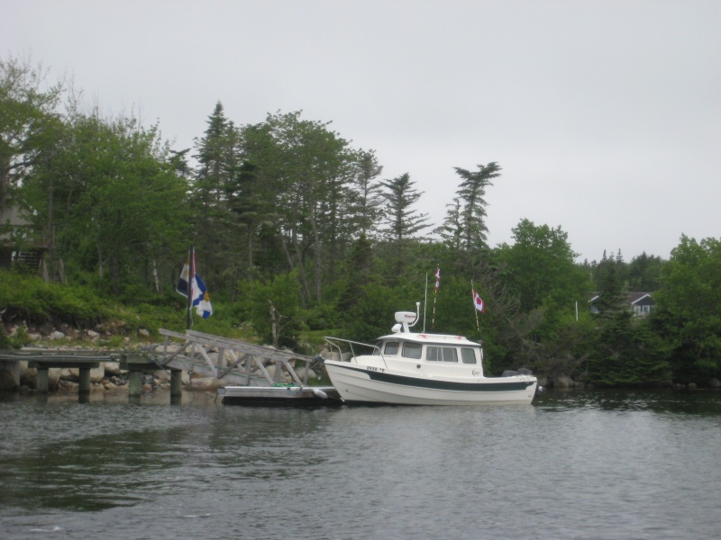 IMG 0954