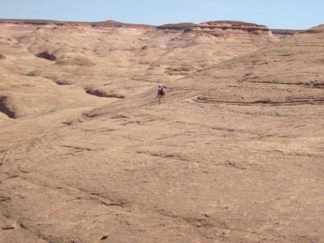 IMG 1764