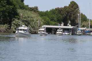 IMG 4178