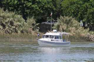 IMG 4179