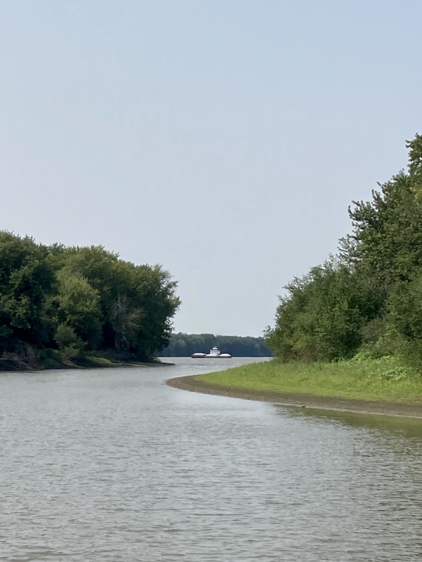 IMG 7071