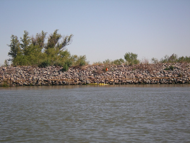 IMGP0289