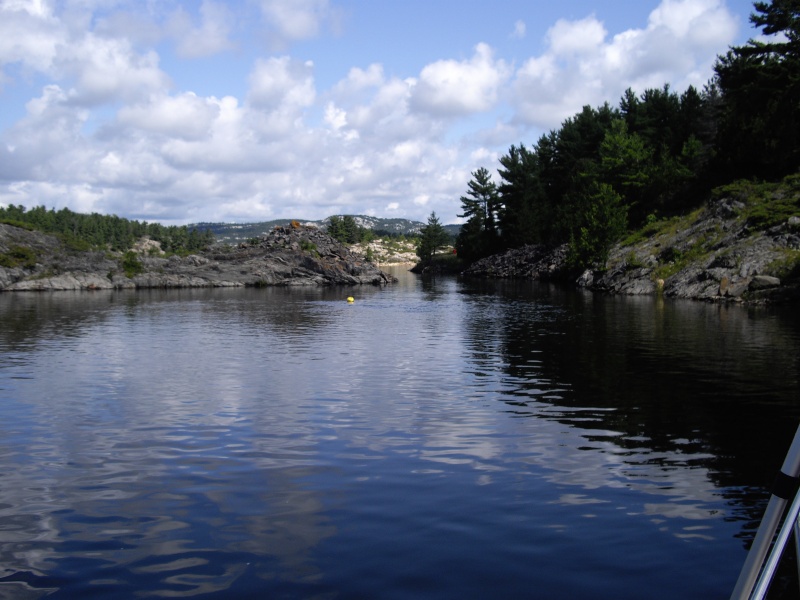 IMGP0908