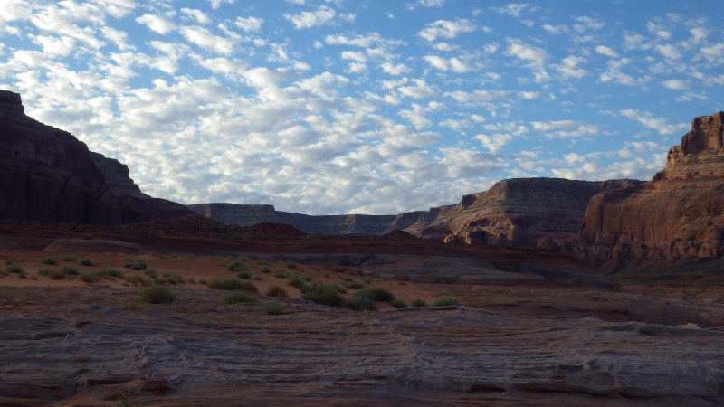 IMGP0919