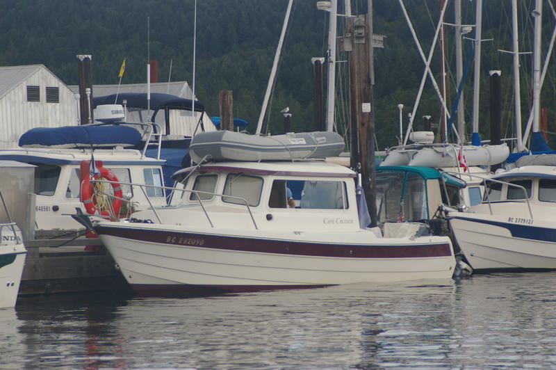 IMGP1774