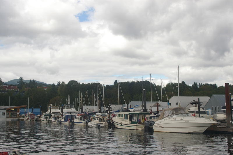IMGP1784