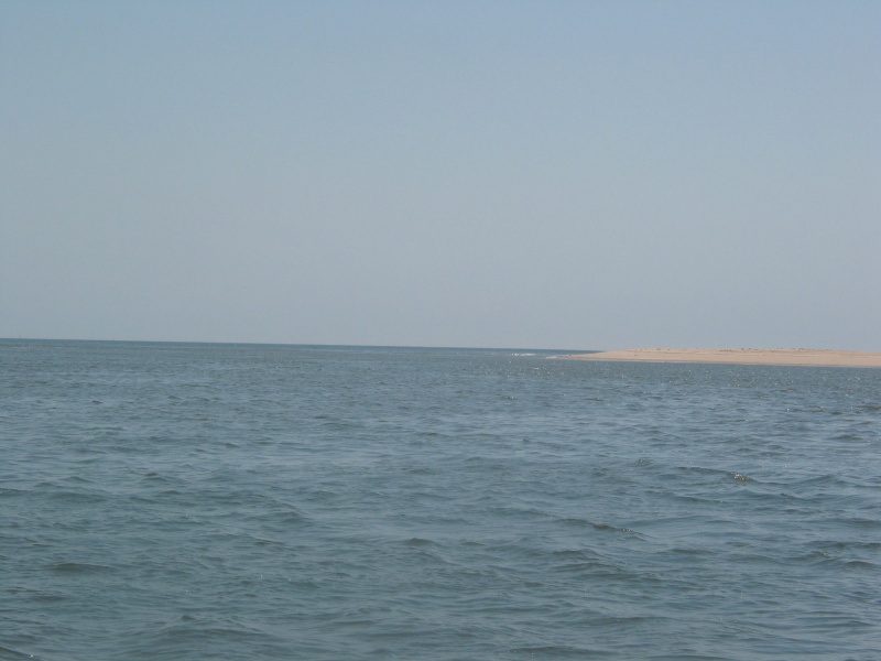 In Delaware Bay looking at the Atlantic