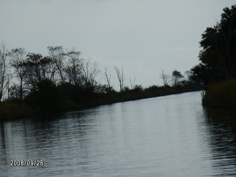 Indian Canal Oriental NC