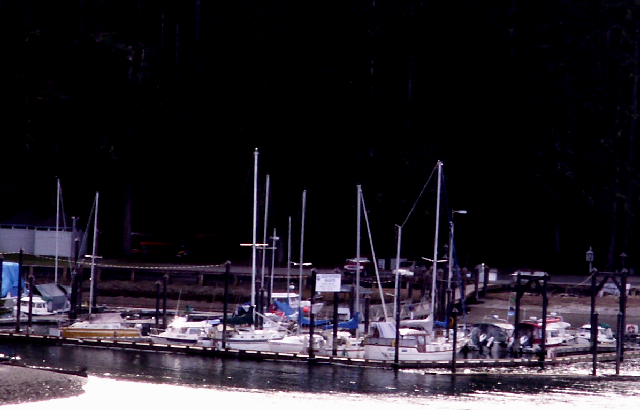 Indian Cove Marina 2009