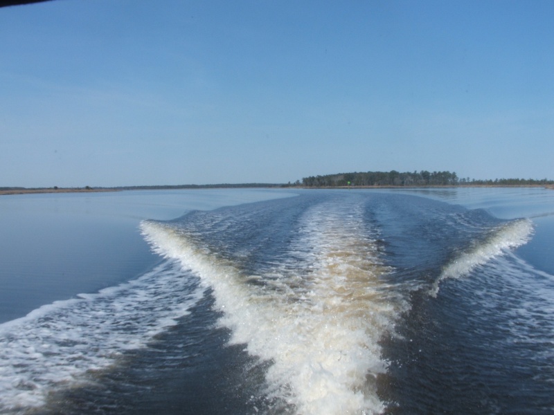 Indian Island in background on Pamlico River (21FEB10)