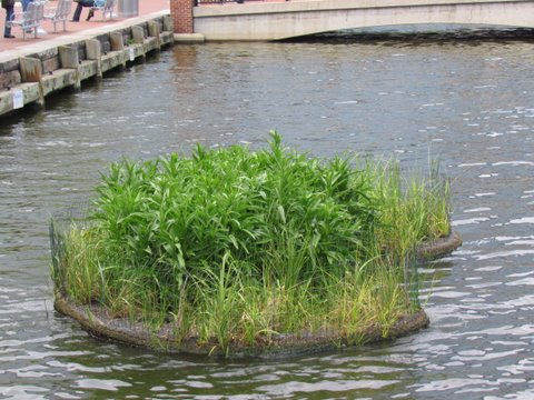 Inner Harbor Key