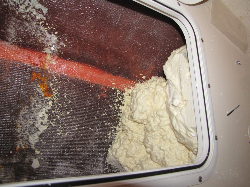 Inside of V-Berth/Foam 11/10/10