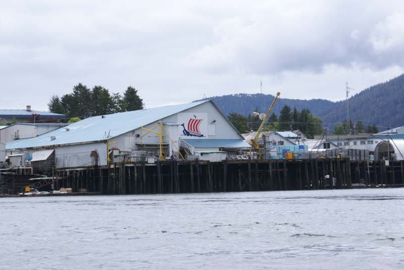 Inside Passage 2011 191 -Petersburg PFI Icicle Seafoods Dock