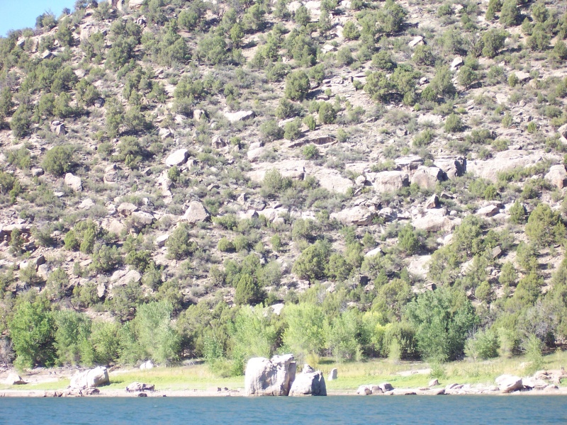 Interesting sanstone rock