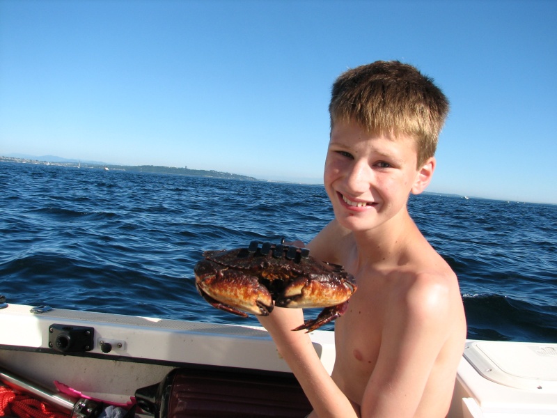 I't a crab