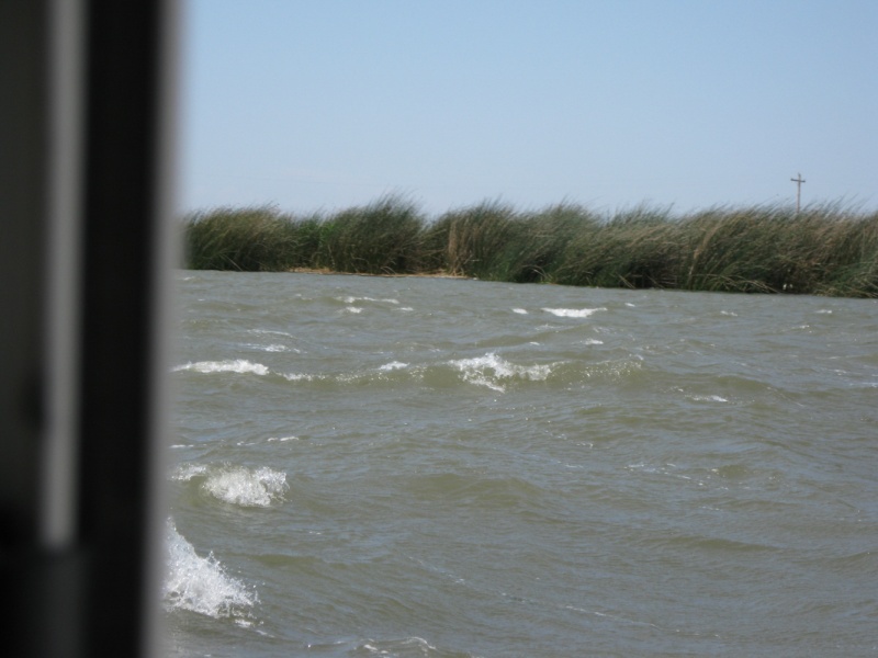 It is still windy on Saturday.