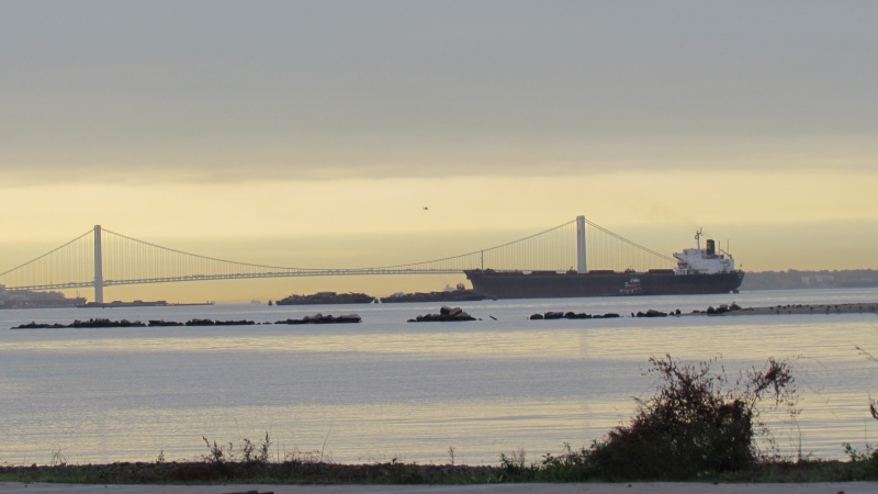 it looks like that freighter won't fit under the Verranzo Narrows bridge in the distance