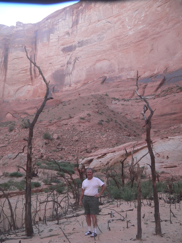 "It sure looks like Jurassic Park around here"
