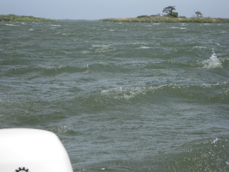 it was not this windy at the house.