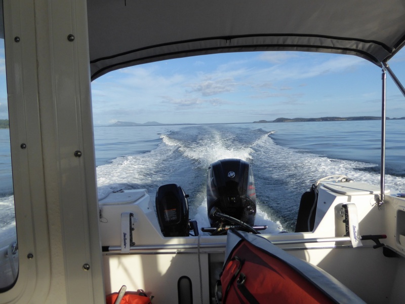 It was still calm along Orcas the whole way to Cypress, but I was definitely climbing and surfing big swells from Georgia Strait almost the entire way!