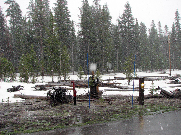 It's snowing!
